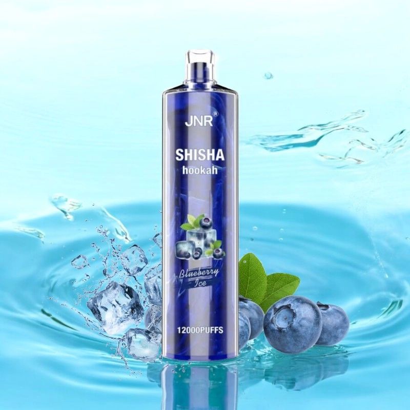 JNR Shisha Hookah 12000 - Blueberry Ice &uuml;levaade